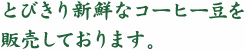 とびきり新鮮なコーヒー豆を販売しております。